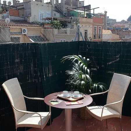 Ainb Picasso-corders